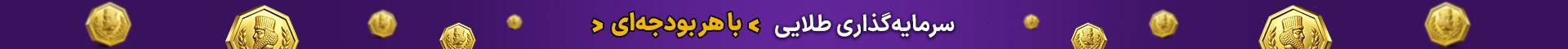 سرمایه گذاری با هر بودجه ای